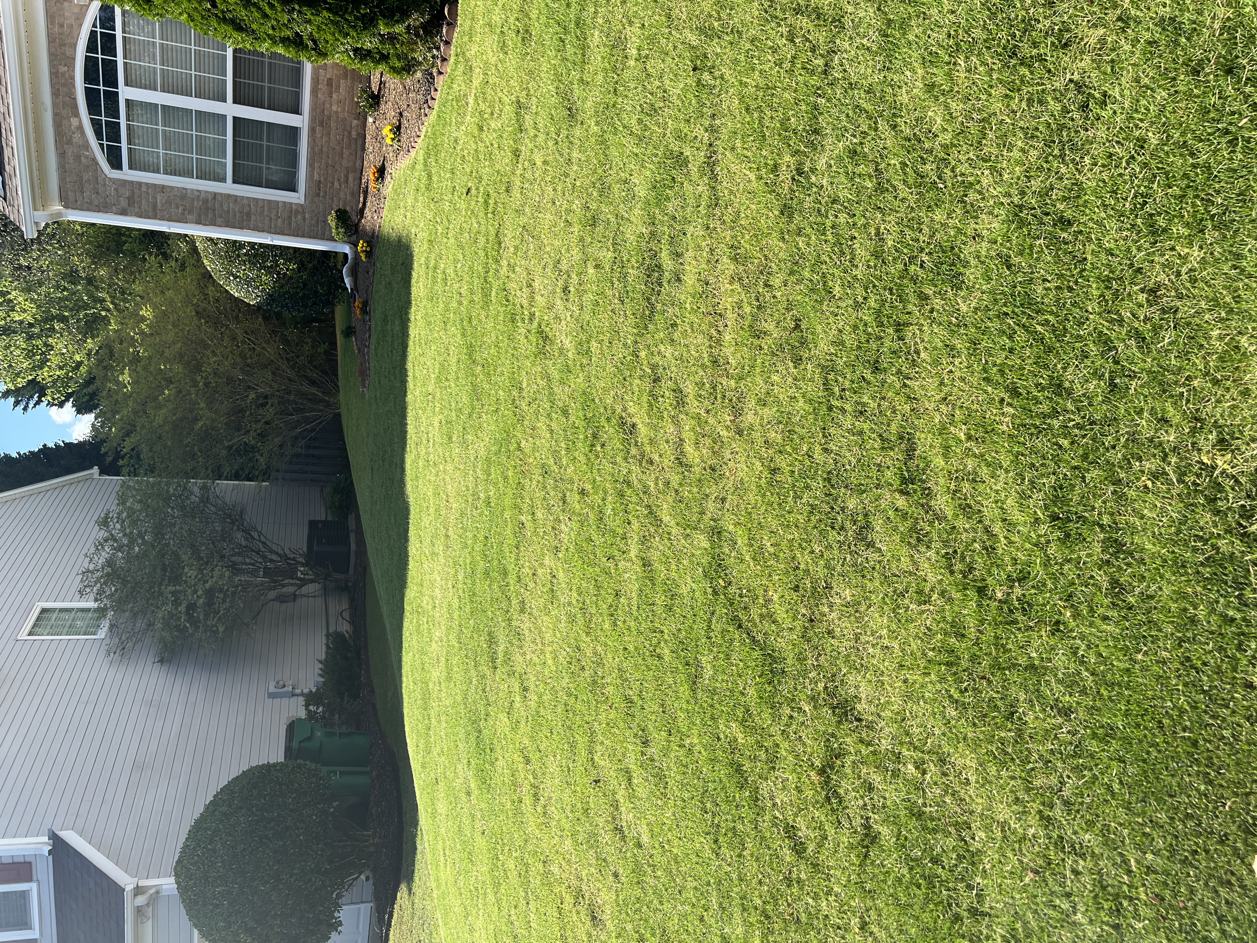 img-1112-0142947148.jpeg