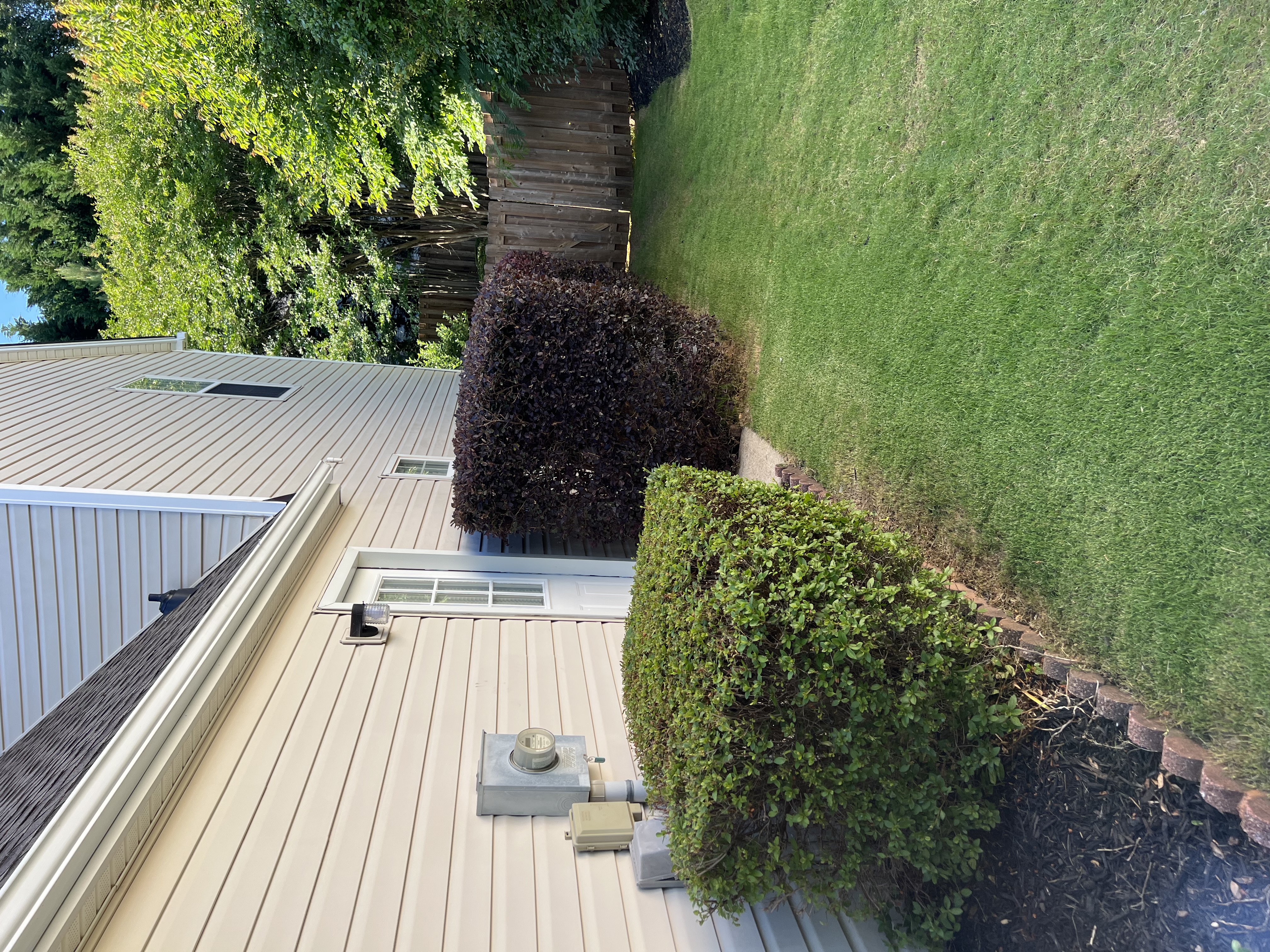 img-1117-0042957268.jpeg